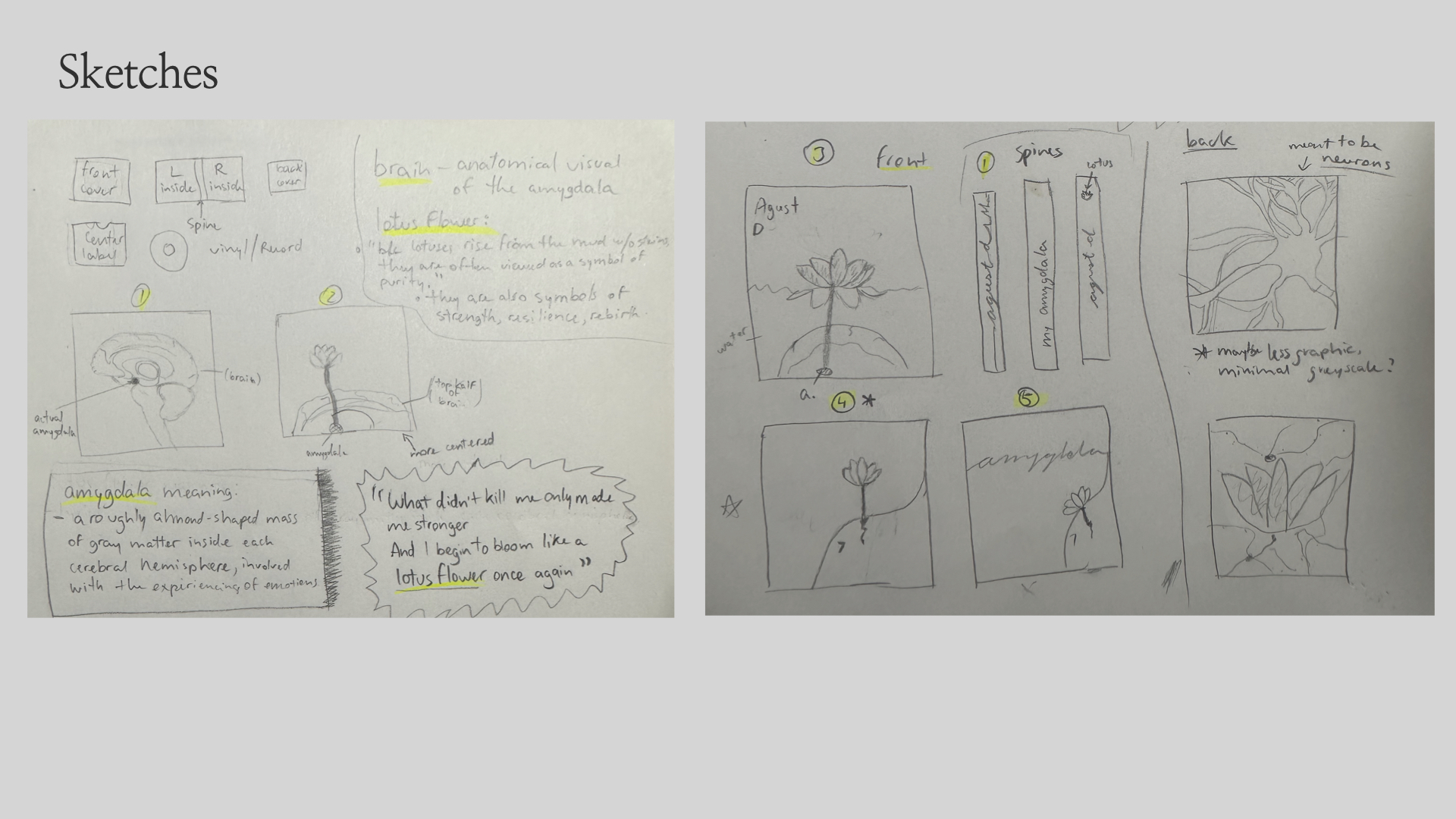 Work 5 Slide 4